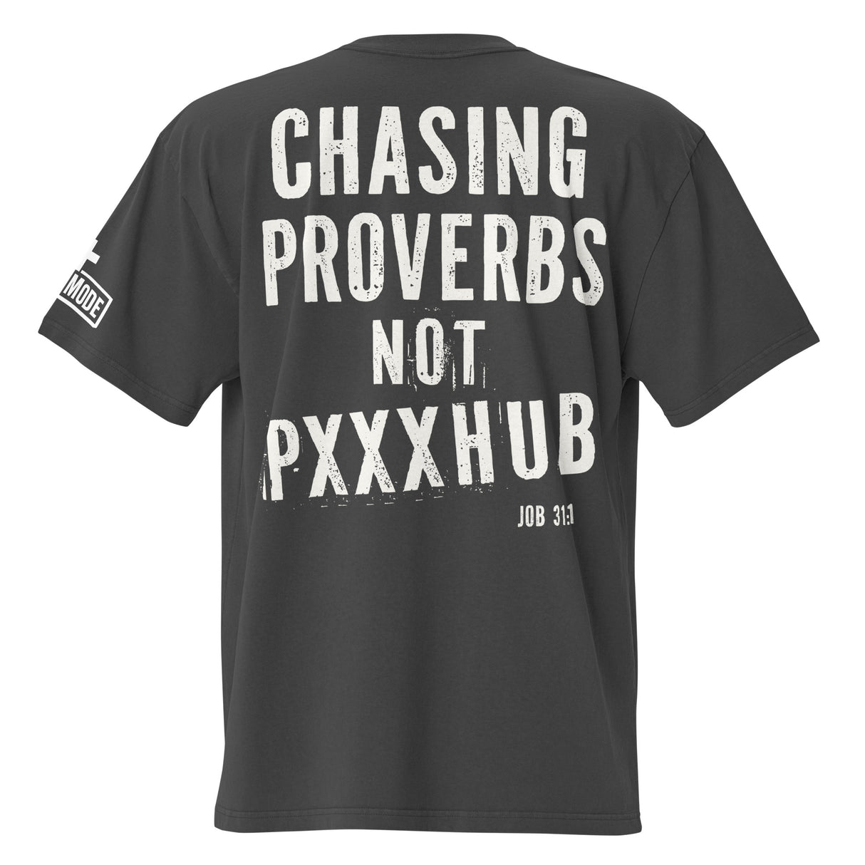 Chasing Proverbs // Not PxxxHub Oversized Tee - Main Image - Back View