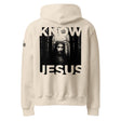 KNOW JESUS // JOHN 14:6 Oversized Heavyweight Hoodie - Main Product Image - Back View