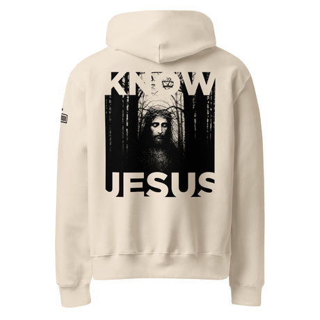 KNOW JESUS // JOHN 14:6 Oversized Heavyweight Hoodie - Main Product Image - Back View