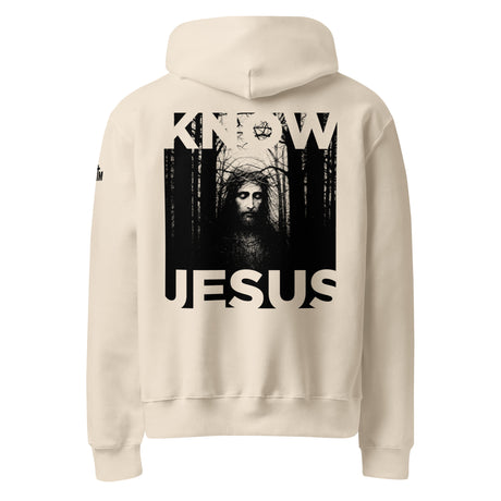 KNOW JESUS // JOHN 14:6 Oversized Heavyweight Cream White Hoodie - Main Product Image - Back View