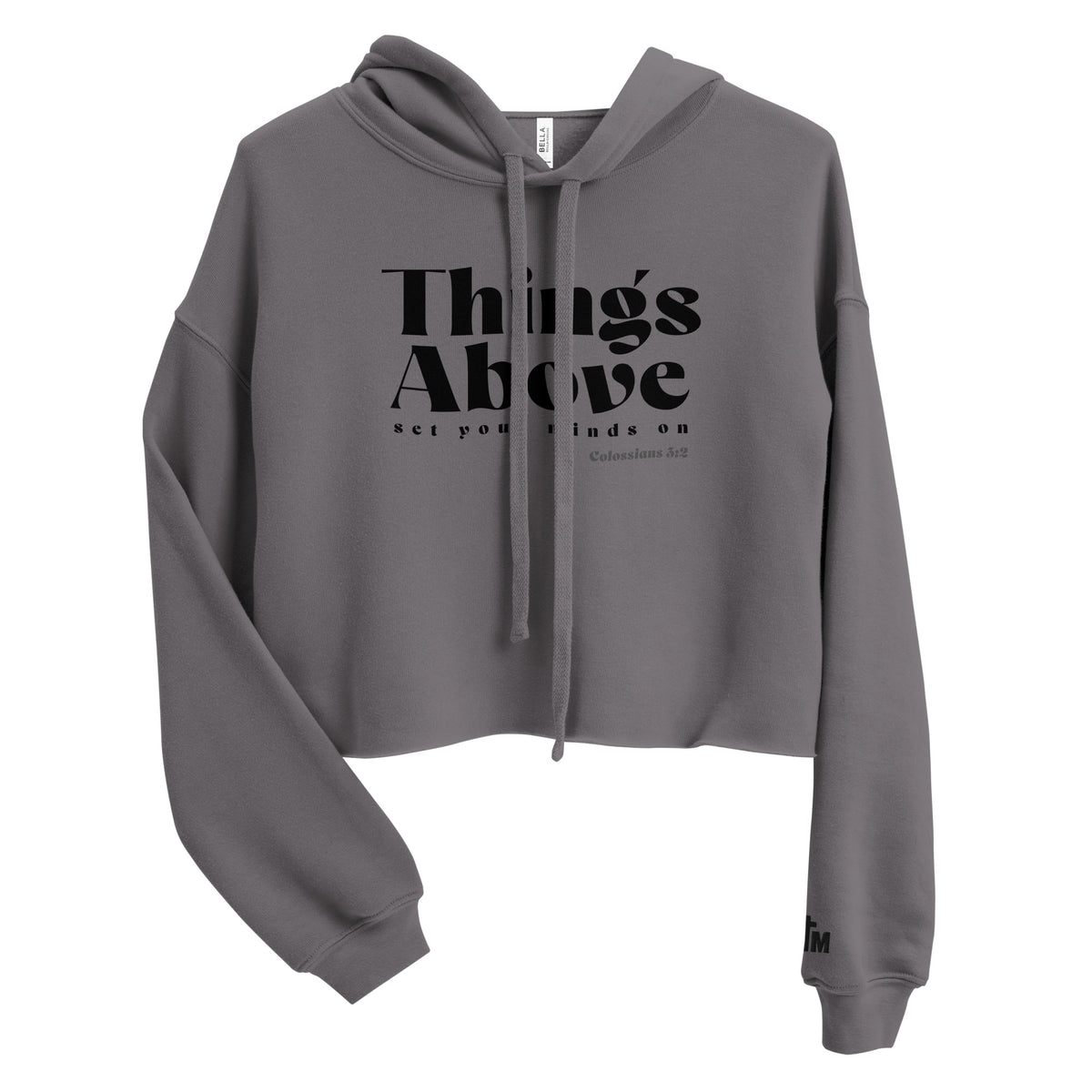 Front view of a Storm gray women’s crop hoodie with black “Things Above” lettering, “set your minds on,” and Colossians 3:2 on the chest.