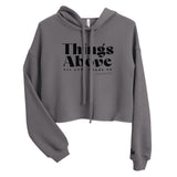 Front view of a Storm gray women’s crop hoodie with black “Things Above” lettering, “set your minds on,” and Colossians 3:2 on the chest.