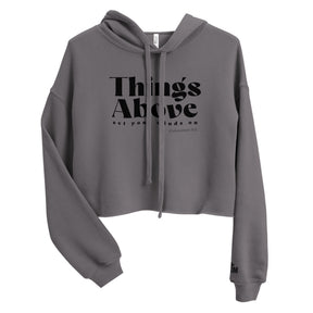 Front view of a Storm gray women’s crop hoodie with black “Things Above” lettering, “set your minds on,” and Colossians 3:2 on the chest.